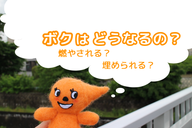 トイレに流したうんち、どうやって処理されるの？